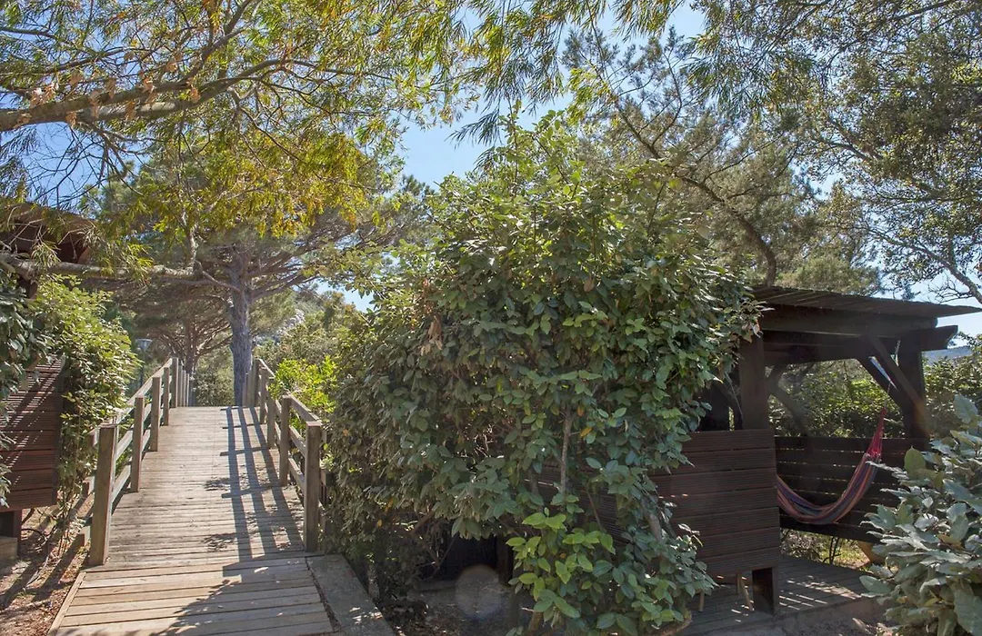 Hotel & Lodges Moby Dick-1